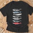 7 Tipos De Ballenas Especies De Razas De Ballenas Amante De Las Ballenas Camiseta unisex Regalos para ancianos