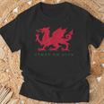Cymru Am Byth ウェールズ ラグビー ドラゴンウェールズ プレイヤープライドギフト Tシャツ 高齢者への贈り物