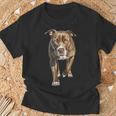 アメリカンピットブルテリア Tシャツ 高齢者への贈り物