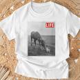 Life Picture Collection 馬と猫（1） Tシャツ 高齢者への贈り物