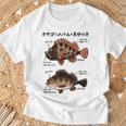 カサゴとメバルの見分け方 Tシャツ 高齢者への贈り物