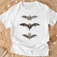 コウモリ 科学イラスト 描画 生物学 アート ハロウィン Tシャツ 高齢者への贈り物