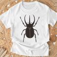 コーカサスオオカブト _昆虫_カブトムシ Tシャツ 高齢者への贈り物