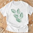 ブナの葉 植物 自然と森林 木のグラフィックス Tシャツ 高齢者への贈り物