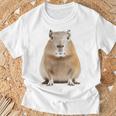 豚 ペット げっ歯類 動物愛好家 ギフト Tシャツ 高齢者への贈り物