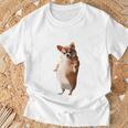 面白いtシャツ チワワ 犬 わがままボディ イヌ わんこ メンズ 犬好き グッズ おもしろ 面白い 服 ネタ 長袖tシャツ Tシャツ 高齢者への贈り物